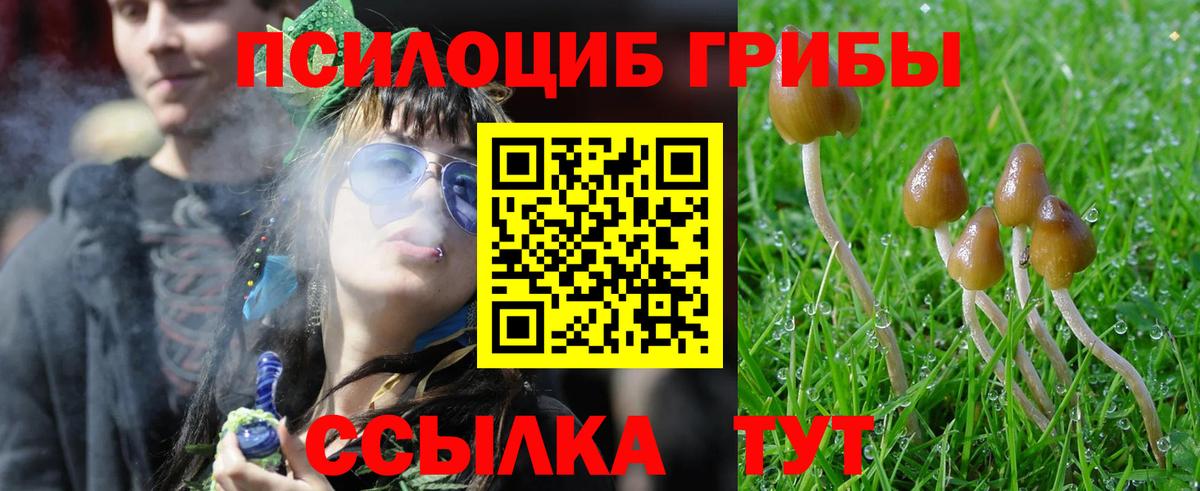 Гагарин  Псилоцибиновые грибы Psilocybine cubensis  Галлюциногенные грибы Magic Shrooms  Вход с VPN 