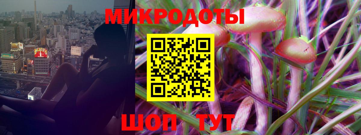 Галлюциногенные грибы мухоморы Гагарин